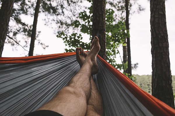 A History of the Hammock