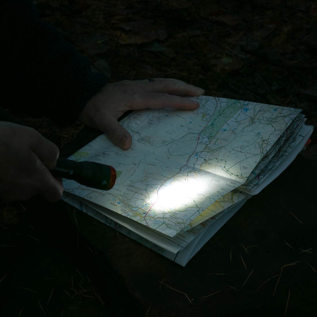 Intensity 545 LED Hand Torch