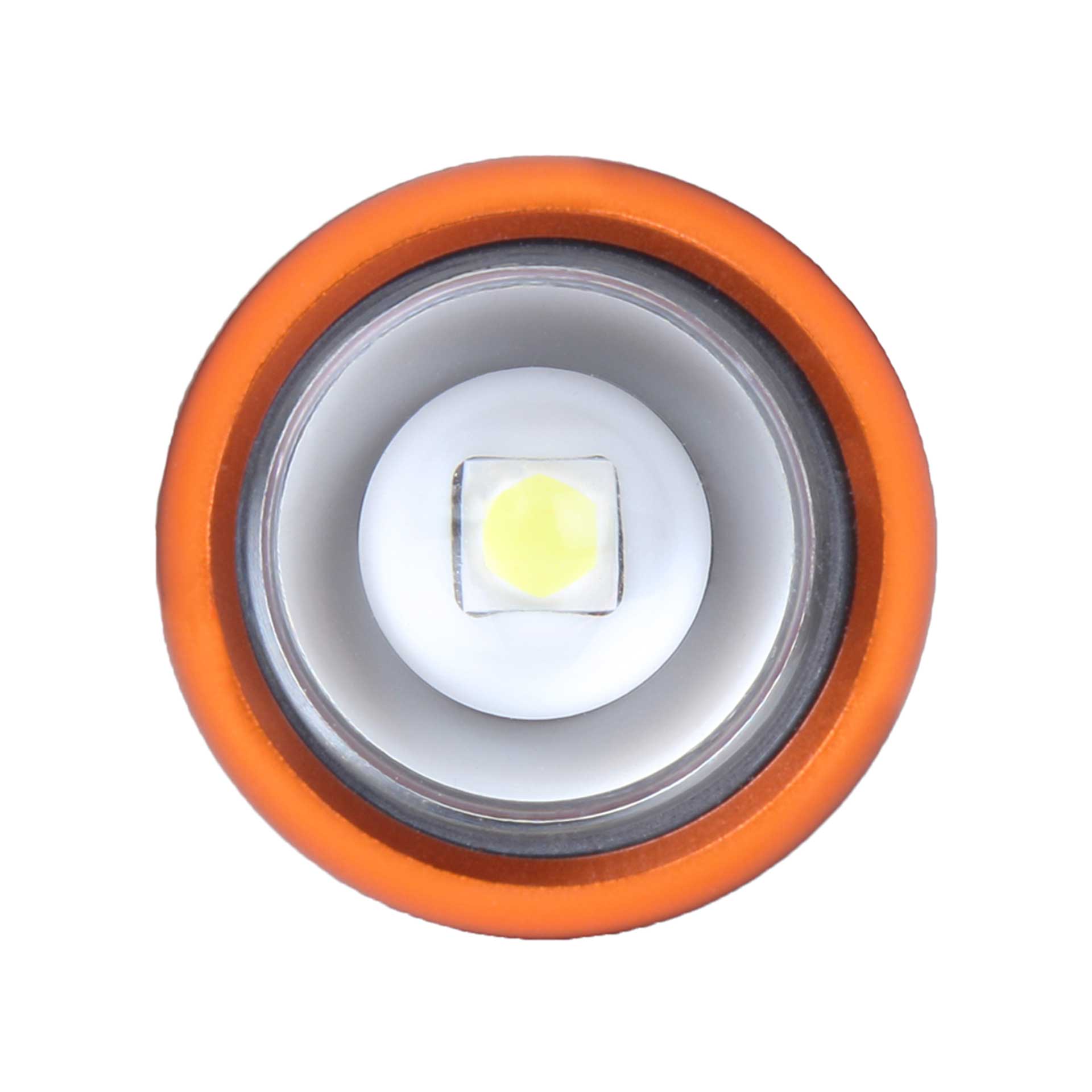 Intensity 480 LED Hand Torch