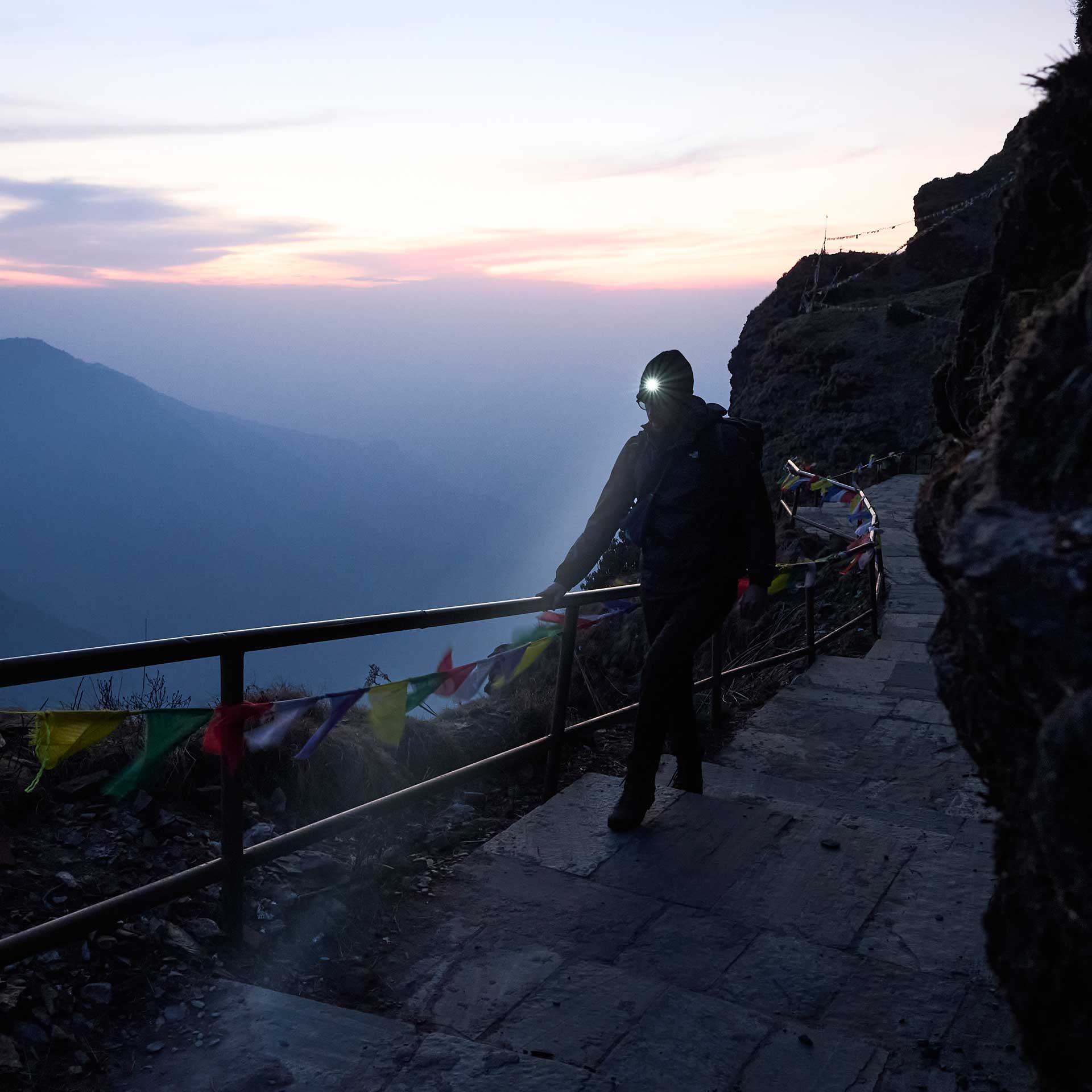 Intensity 300 LED Head Torch