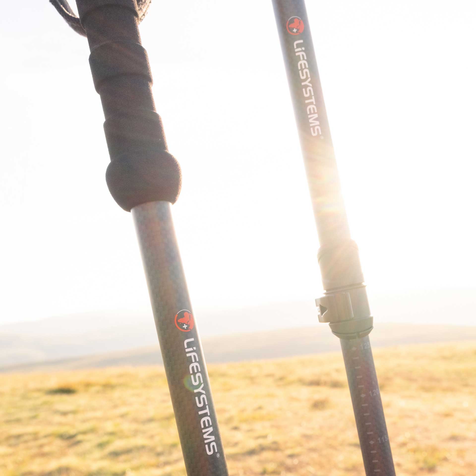 Trekking Poles