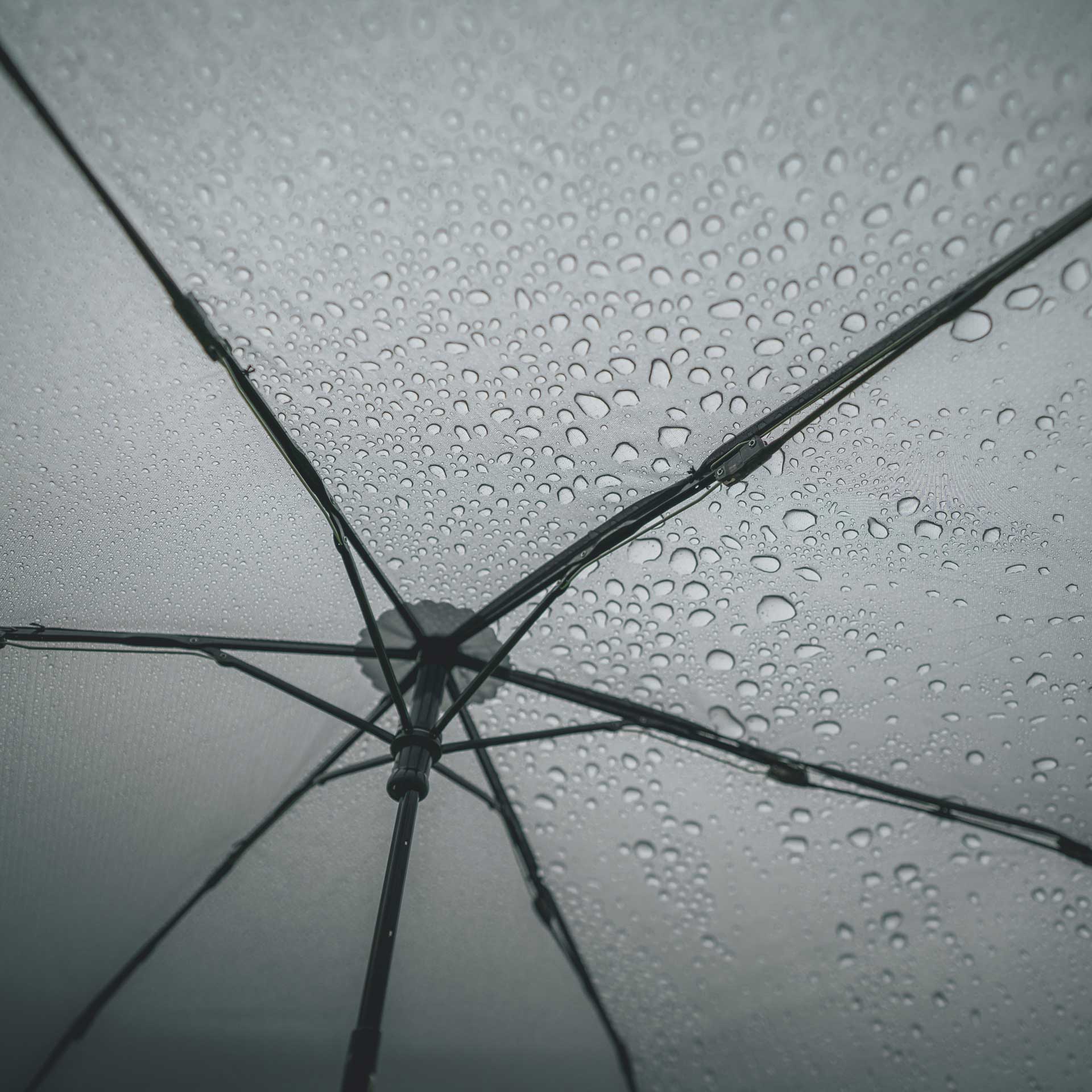 Ultralight Trek Umbrella