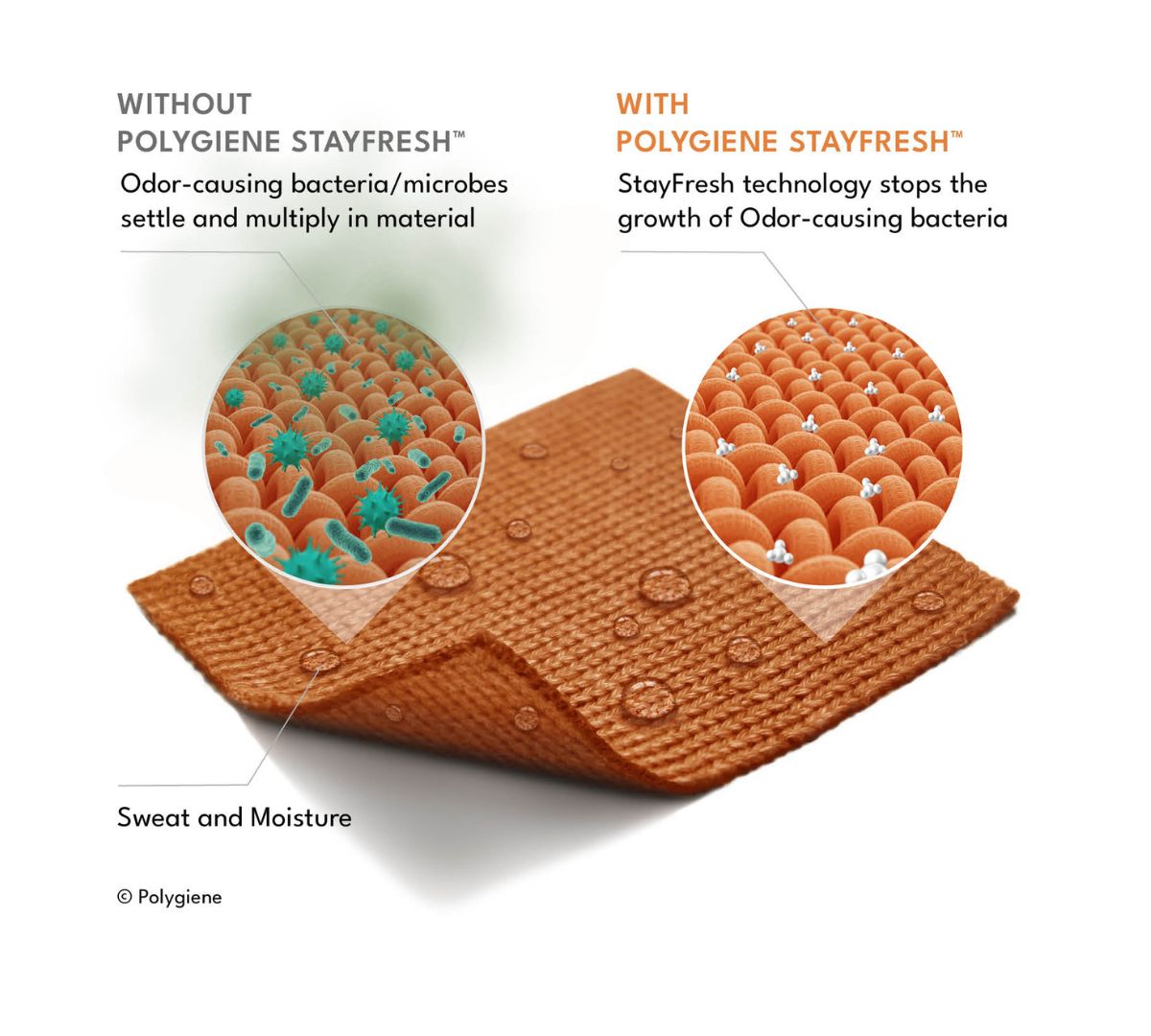 Illustration comparing fabric without Polygiene StayFresh, showing bacteria growth, and fabric with StayFresh technology preventing odour-causing bacteria.